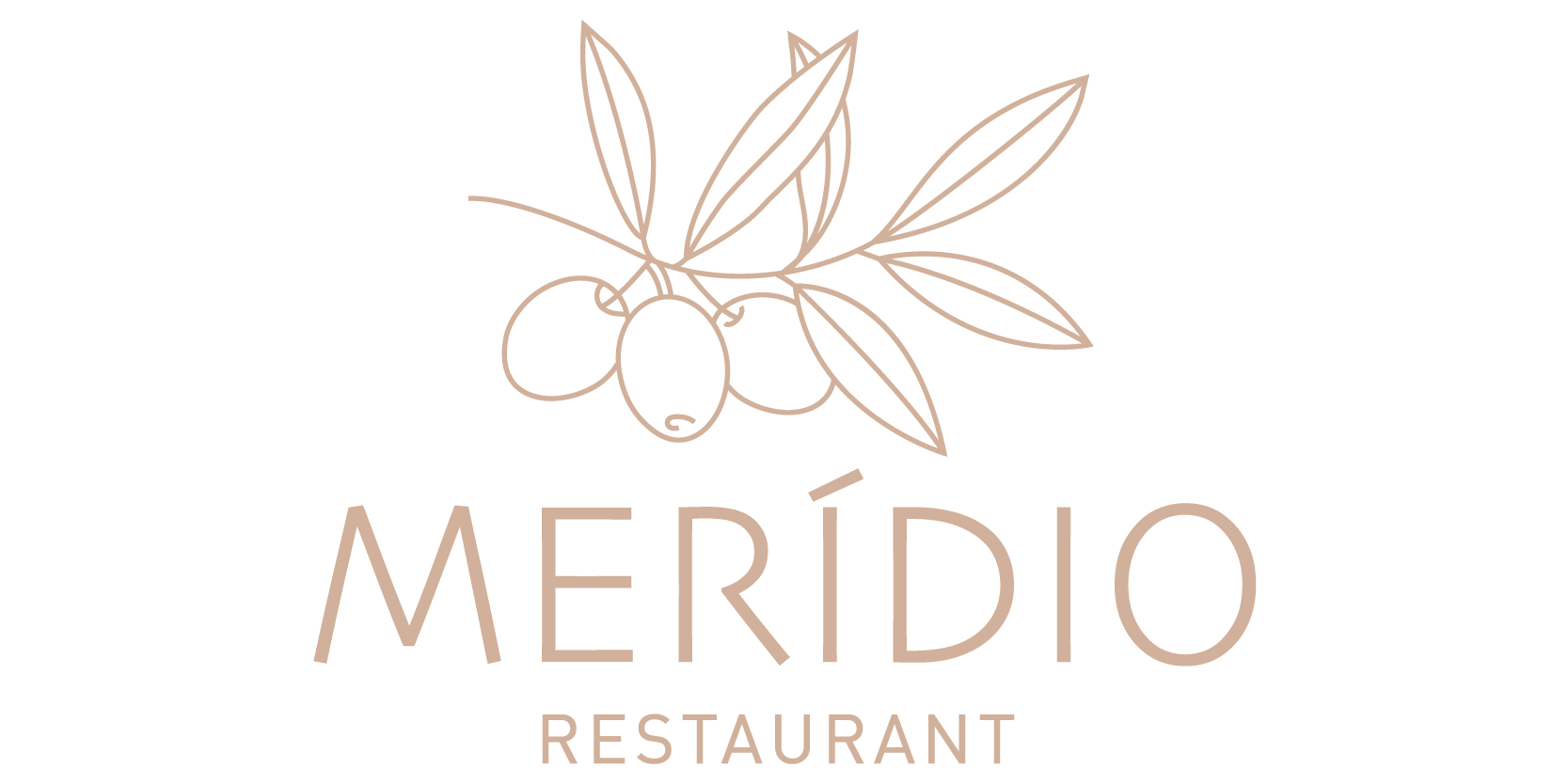 Logo_Meridio_site