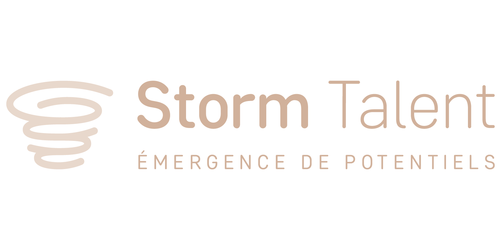 Logo_Storm Talent_site